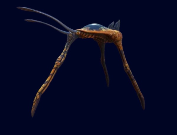Sea Treader