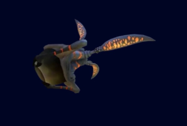 Shuttlebug
