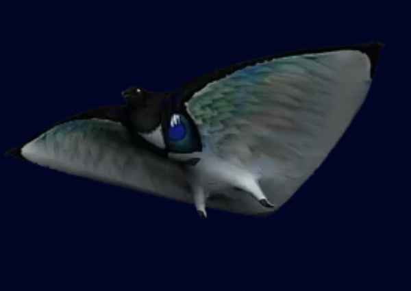 Skyray