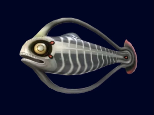 Spinefish