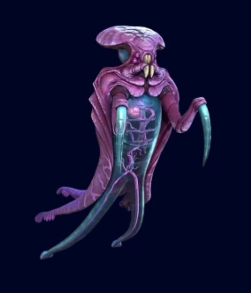 Warper