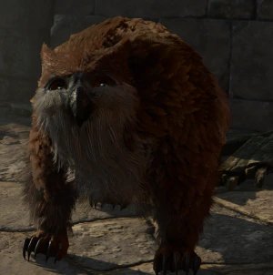 Owlbear Cub