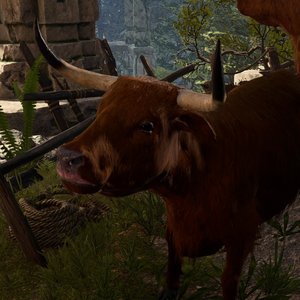 Strange Ox