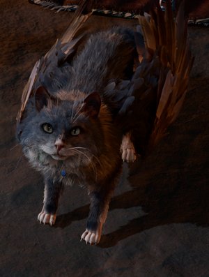Tara